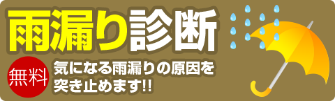 雨漏り診断